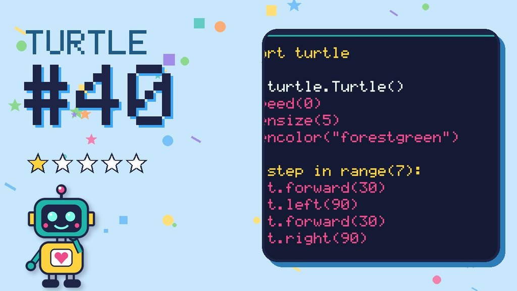 Turtle Challenge #40