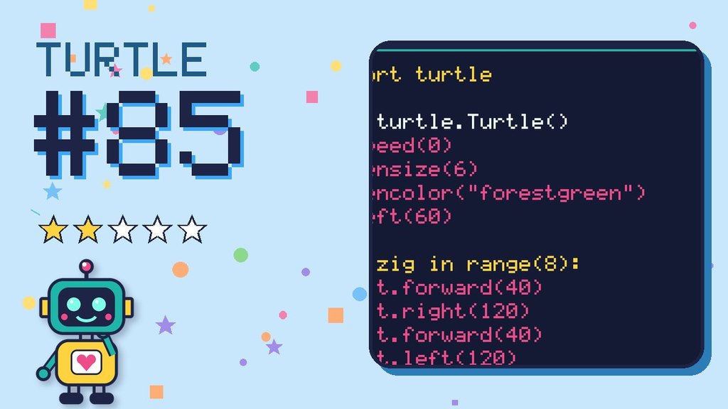 Turtle Challenge 85 card