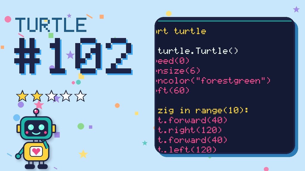 Turtle Challenge 102 card