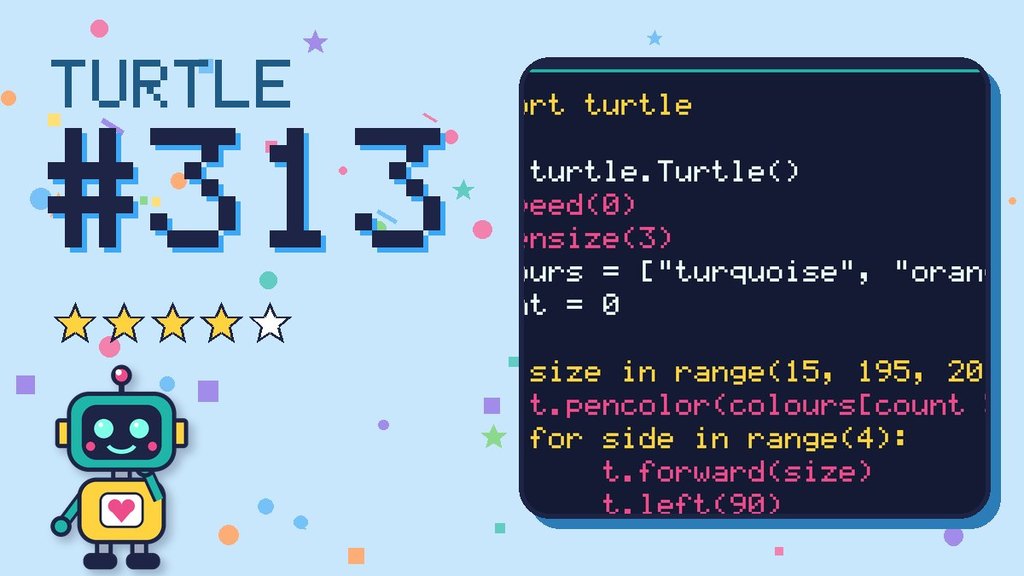 Turtle Challenge 313 card