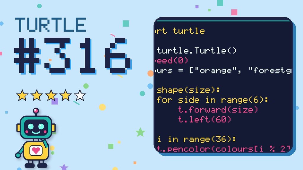 Turtle Challenge 316 card