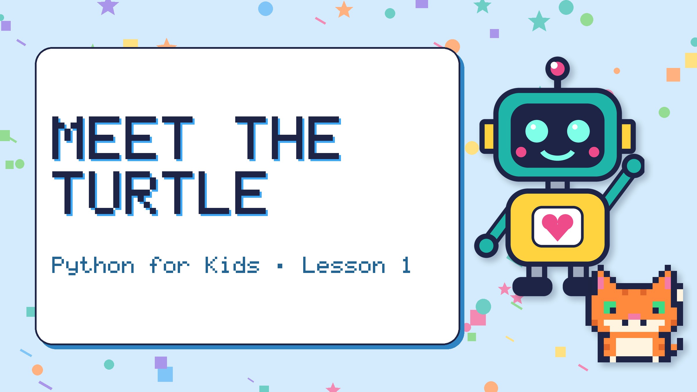 Meet the Turtle